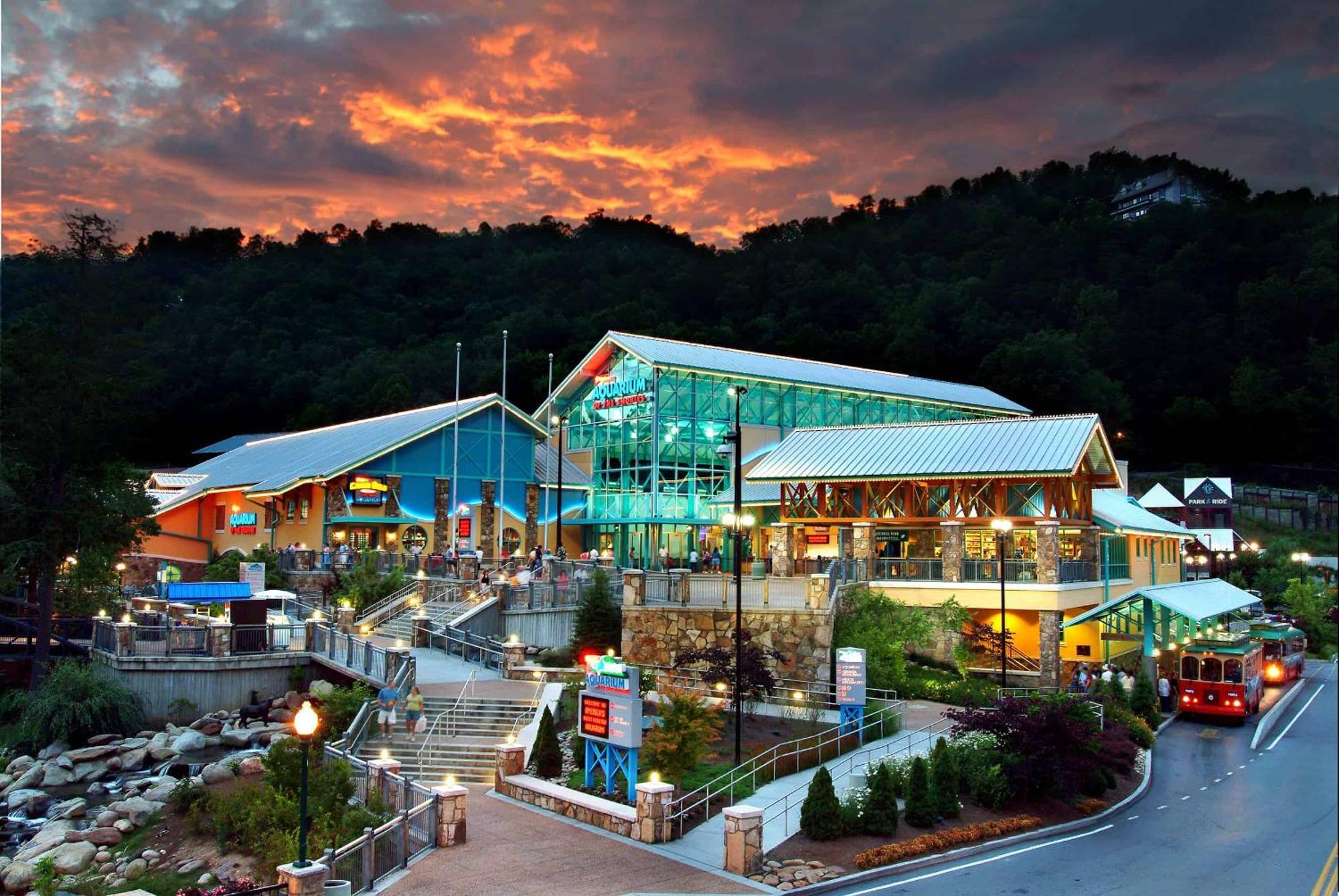 The Solstice - Amenities Galore Mountain Retreat جاتلينبرج المظهر الخارجي الصورة